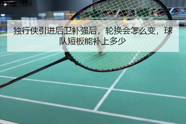 独行侠引进后卫补强后，轮换会怎么变，球队短板能补上多少